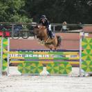 Good Boy d&rsquo;Yl, hongre pfs 146cm