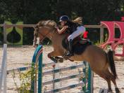 Good Boy d&rsquo;Yl, hongre pfs 146cm