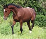  3 ans sport top papiers