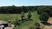 Belle propri&eacute;t&eacute; agricole et &eacute;questre sur 19ha