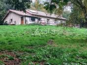 Au Nord de Limoges, ensemble de 2 ha &agrave; l'&eacute;cart du voisinage