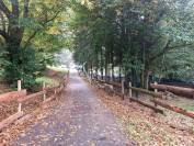 Au Nord de Limoges, ensemble de 2 ha &agrave; l'&eacute;cart du voisinage