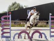 Jument grise - 11ans -1m47