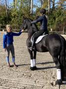 Poulini&egrave;re frisonne pleins papiers gestante