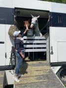 &Agrave; vendre camion PL