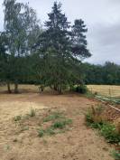 LOCATION PATURE POUR 2 CHEVAUX - ESSONNE 91