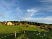 Domaine Equestre centr&eacute; sur le Bien Etre &eacute;quin et l'Agro&eacute;co