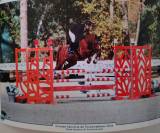 Caballo castrado Silla Franc&eacute;s En venta 2020 Alaz&aacute;n por quarnac du mesnil