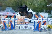 Hongre de 8 ans par Cornet Obolensky x Ukato