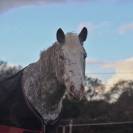 Demi Pension - Adaggio