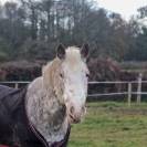 Demi Pension - Adaggio