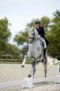 Hongre - Zangersheide - 8 ans - Dressage - France 