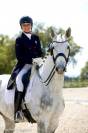 Hongre - Zangersheide - 8 ans - Dressage - France 