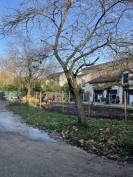 Pension Chevaux - Maisons Laffite 