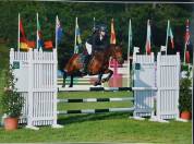 A LOUER PONEY D  DE SPORT 16 ANS MAITRE ECOLE 