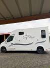 Van per Cavalli Ameline HARAS 3 PLACES RENAULT MASTER 2016 Occasione