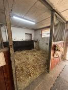 Pension en boxe &Eacute;curie ind&eacute;pendante  Mont-sur-Lausanne