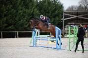 Cheval CSO prometteur