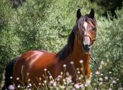 Entier ma&icirc;tre d&rsquo;&eacute;cole 