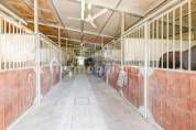 Centro equestre con B&B e 4 unita abitative 