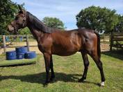 Super 3 ans pour amateur ambitieux