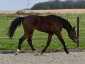 MAGNIFIQUE JEUNE 3 ANS