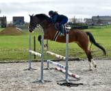 Cheval professeur par excellence 