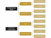 Filly (2025) I'm Special de Muze x Toulon x Ramiro z