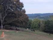 Corps de ferme traditionnel en L &agrave; Lembeye (64350)
