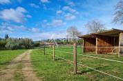 Equestrian property  Pyr&eacute;n&eacute;es-Orientales