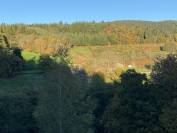 Equestrian Bed and Breakfast  Puy-de-D&ocirc;me