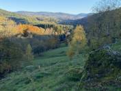 Propri&eacute;t&eacute; au coeur du Parc naturel du Livradois-Forez  27 h