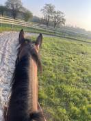 d&eacute;bourrage/pr&eacute;-entrainement