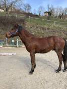 O&rsquo;lastar de Loliban&rsquo;s 