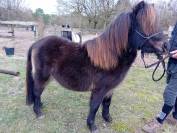 M&acirc;le de 2 ans RBP