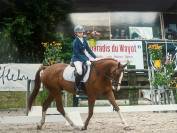 Cheval &agrave; vendre super gentil polyvalent:  obstacles, cross ou dressage 