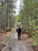 Cheval 8 ans pour CSO/CCE