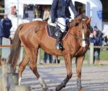 Super JUMENT TF 6 ans