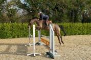 Top jument de 4 ans par Diamant de Semilly 