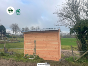 Box Club en bois Douglas