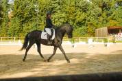 Pure race espagnole 8 ans