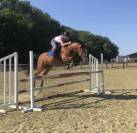 Demie pensions jument