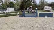 Poney de sport Connemara 2022 taille D