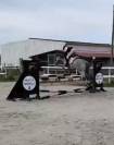 Poney de sport Connemara 2022 taille D