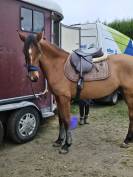 Ruperta jument ONC 7 ans