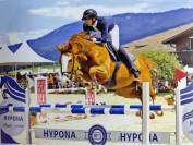 Super hongre 8 ans 1m62 id&eacute;al amateur 