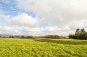 Azienda ovina In vendita tarn
