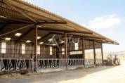 Azienda ovina In vendita tarn