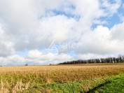 Exploitation agricole id&eacute;al &eacute;levage 102 ha