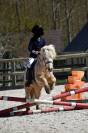 Poney id&eacute;al enseignement et competition